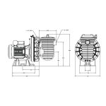 Bomba de filtración Sta-Rite (Starite) Serie 5P2R Estándar - Imagen 3