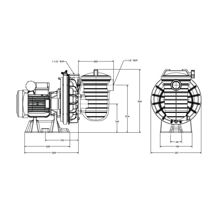 Bomba de filtración Sta-Rite (Starite) Serie 5P2R Estándar - Imagen 3
