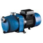 Bomba de refuerzo monofásica Zodiac Polaris de 1 hp